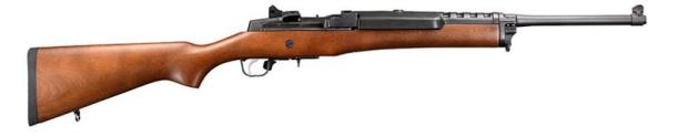 ruger mini 14